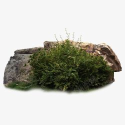 石块草团素材