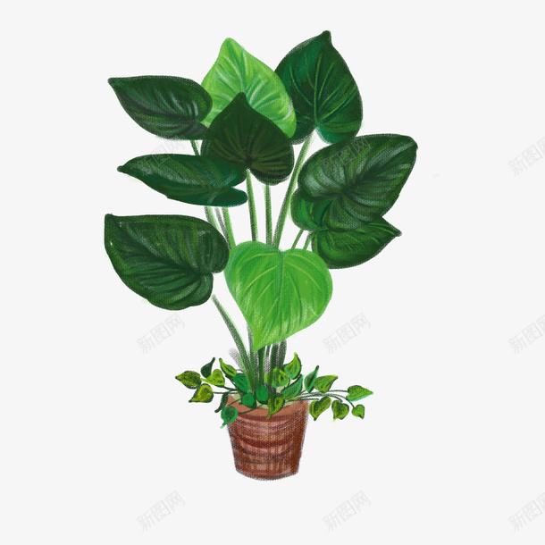 植物植被装饰物png免抠素材_新图网 https://ixintu.com 室内装饰 植物 绿植 花草