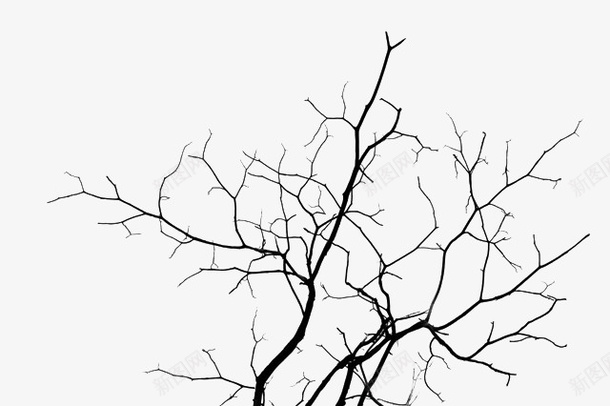 枝干缠绕的树枝图标png_新图网 https://ixintu.com 枝丫 枝叶 柳条 树林 树枝 树根 缠绕的树枝
