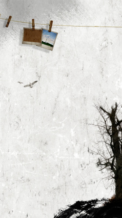 照片墙树木状怀旧照片墙大树海鸥H5背景高清图片