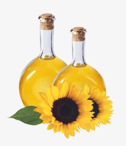 调味用品两瓶油旁的葵花高清图片
