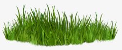 绿色春天草地草坪草丛装饰素材