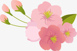 春天粉色花朵装饰素材