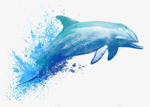 水彩海豚png免抠素材_新图网 https://ixintu.com 动物 卡通海豚 手绘海豚 海洋 环保 蓝色海豚