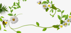 绿色的蜜蜂菊花叶高清图片
