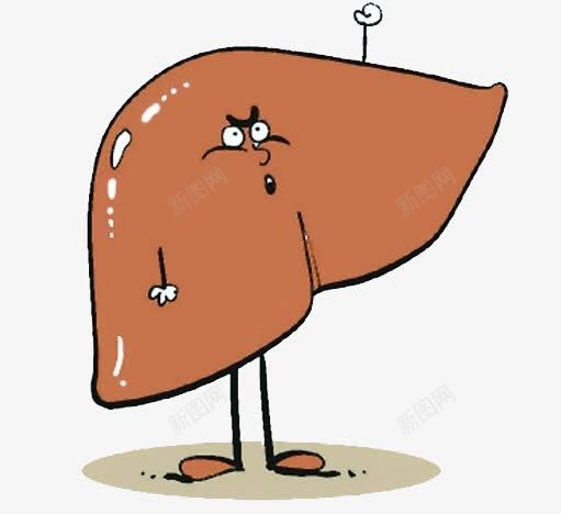 卡通肝脏png免抠素材_新图网 https://ixintu.com 卡通肝脏图片 检查 检测 肝功能 脂肪肝