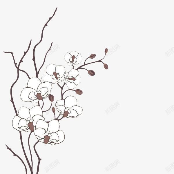 手绘白色梅花图标png_新图网 https://ixintu.com 梅花 梅花描边 植物 白色 简约手绘 线描花矢量图 线条手绘 花卉