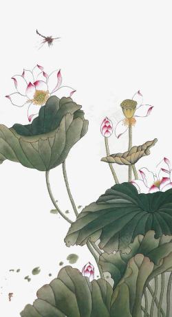 盛开的莲花中国风水墨画高清图片