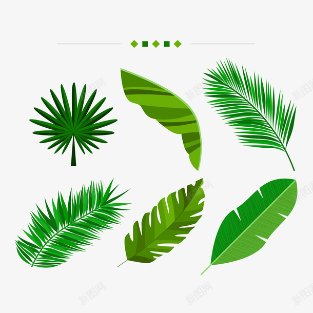 绿色棕榈树叶png免抠素材_新图网 https://ixintu.com 卡通叶子 卡通植物 小清新 绿色叶子 背景装饰