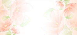 清爽的绿叶温馨浪漫手绘花朵海报背景高清图片