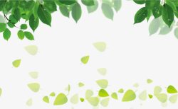 绿化环保素材绿化绿叶高清图片