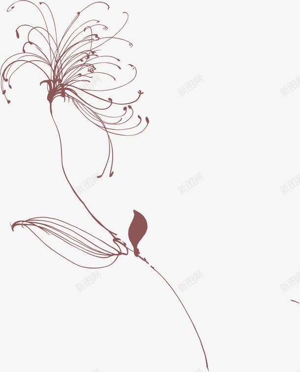 棕色手绘线条花朵png免抠素材_新图网 https://ixintu.com 棕色 线条 花朵