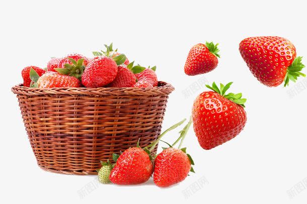 一篮子草莓png免抠素材_新图网 https://ixintu.com 水果 竹篮 篮筐 红色 草莓