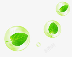 泡泡里的菊花绿叶泡泡装饰图案高清图片