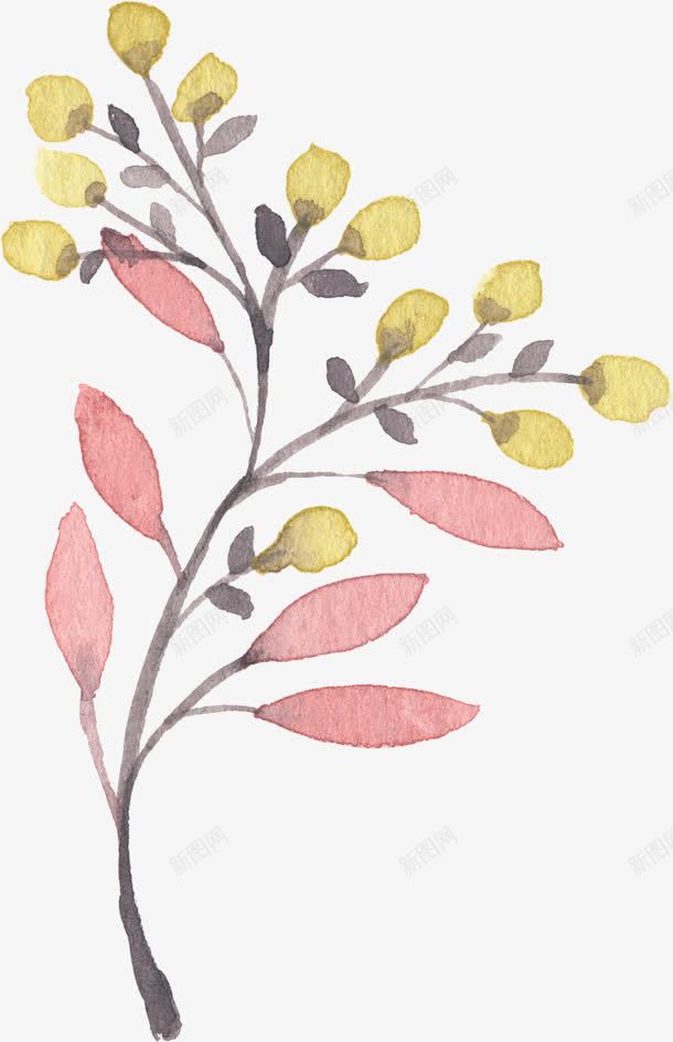 手绘植物png免抠素材_新图网 https://ixintu.com 叶子 植物 水彩 粉色树叶 黄色果实