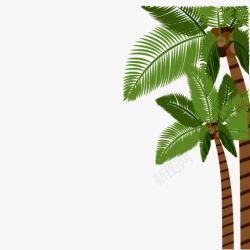树木椰子树右侧棕色条纹椰棕树绿色树叶高清图片