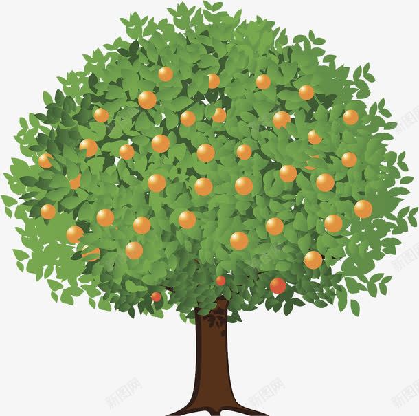 一棵树png免抠素材_新图网 https://ixintu.com 大树 橘子 橘树 水果 绿叶