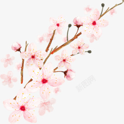 手绘粉色桃花花卉矢量图素材