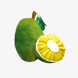 一个菠萝蜜菠萝蜜高清图片