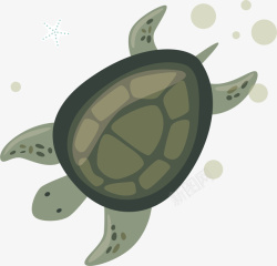 游泳的乌龟矢量图素材