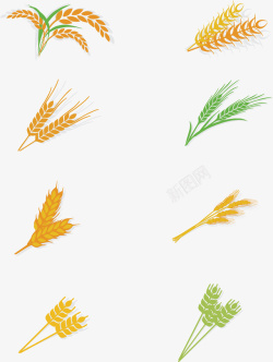 大麦仁可爱手绘小麦仁卡通矢量图高清图片