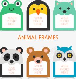 平面熊尼斯动物照片相框收藏高清图片