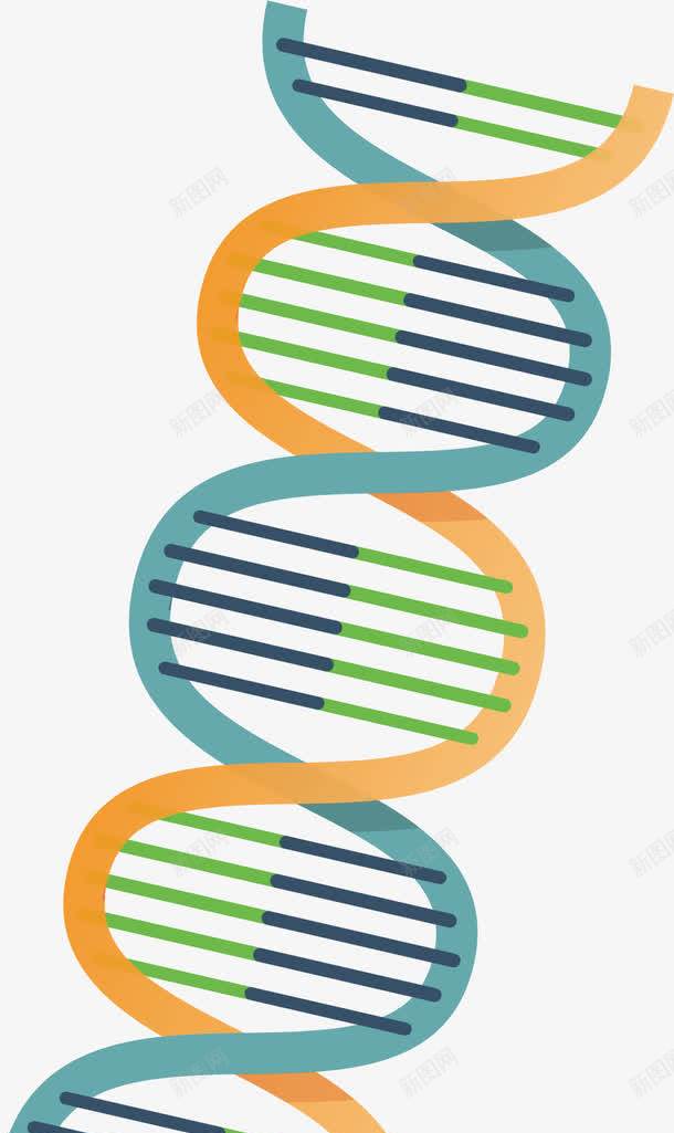 人体的生物细胞卡通png免抠素材_新图网 https://ixintu.com 医药 生物医药 生物医药产业 生物医药展板 生物医药广告 生物医药整容 细胞