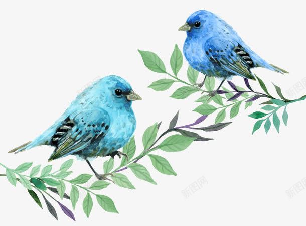 2只树枝上的蓝色鸟png免抠素材_新图网 https://ixintu.com 蓝知更鸟水彩树枝鸟