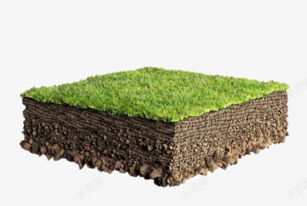 创意摄影绿色的草地和土壤png免抠素材_新图网 https://ixintu.com 创意 土壤 摄影 绿色 草地