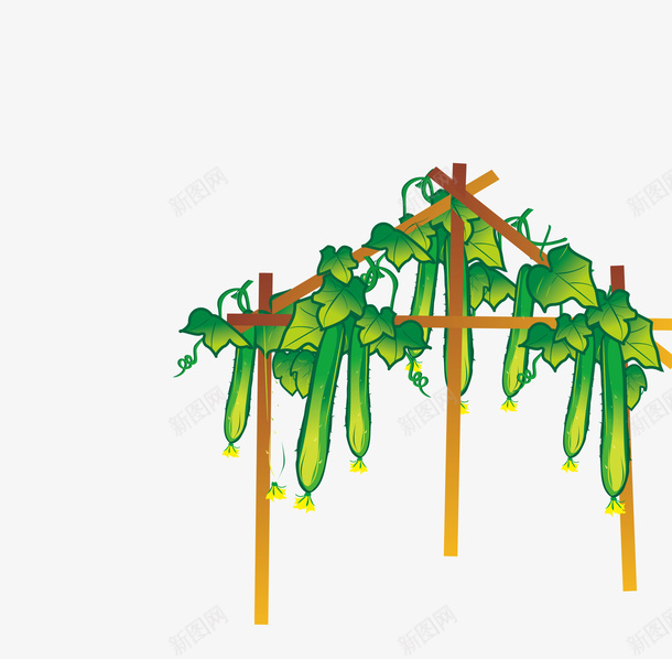 木架上的新鲜黄瓜png免抠素材_新图网 https://ixintu.com 手绘图 搭建 新鲜的 木架 蔬菜 藤条 黄瓜 黄瓜棚