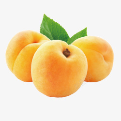 美味黄桃实物水果三个黄桃高清图片