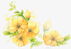 鲜艳美丽金色花朵装饰高清图片