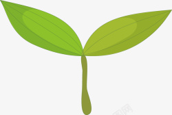 手绘绿色树苗贴标手绘绿色植物插画高清图片