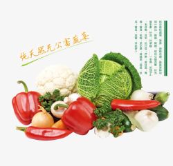 小清新辣椒清新有机蔬菜宣传海报高清图片