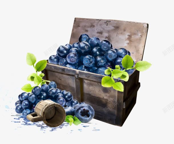 蓝莓png免抠素材_新图网 https://ixintu.com 卡通 手绘 杯子 植物 水彩 水果 清新 田园风 箱子 蓝莓