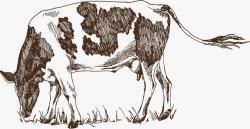 底纹牛奶奶牛吃草矢量图高清图片