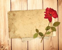 怀旧木板纸张背景图片情人节玫瑰花背景高清图片