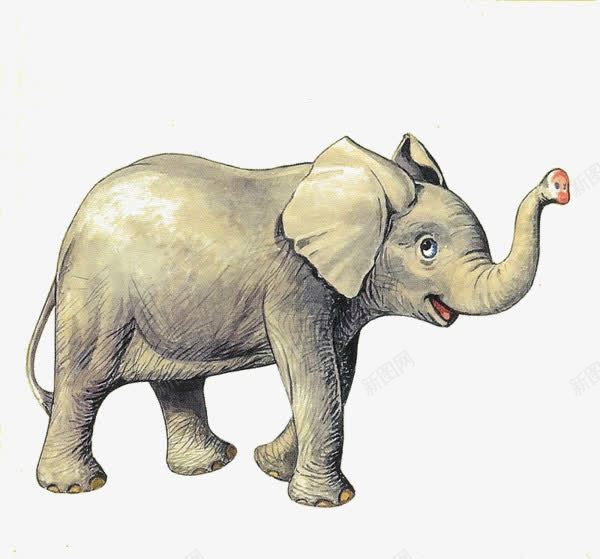 水彩大象png免抠素材_新图网 https://ixintu.com 动物 卡通 大象 手绘 水彩