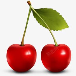 cherry浆果樱桃水果蔬菜天堂水果图标高清图片