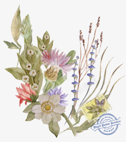 手绘旧邮票手绘明信片植物花卉高清图片