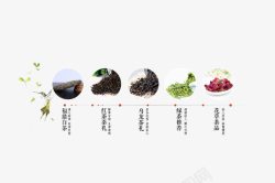 各种花茶素材