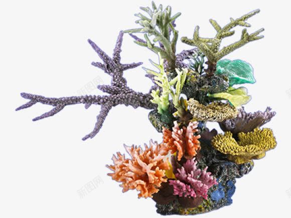 珊瑚png免抠素材_新图网 https://ixintu.com 深海植物 珊瑚礁 珊瑚群
