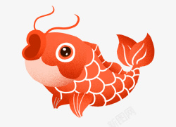 水中锂鱼一条张着嘴的红色卡通锦锂图高清图片