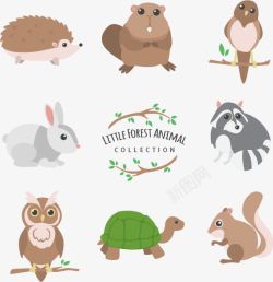 乌龟兔子森林中的小动物高清图片