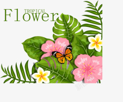 精美热带花卉和蝴蝶素材