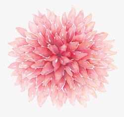 粉色手绘康乃馨花卉素材