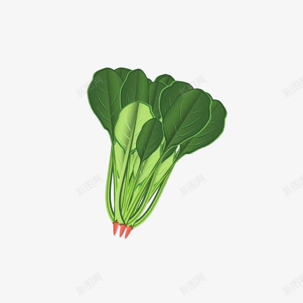 绿色菠菜png免抠素材_新图网 https://ixintu.com 卡通 手绘 绿色 菠菜 蔬菜 蔬菜Q版 赤根菜