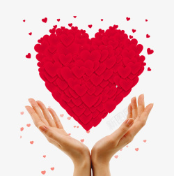 国际慈善日全民国际慈善日捧着爱心的双手高清图片