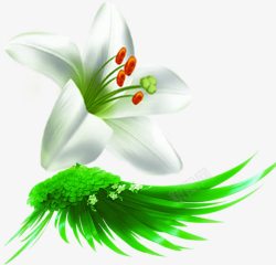 绿色植物翅膀春天绿色植物翅膀高清图片