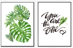 个性简约绿色植物的装饰画高清图片